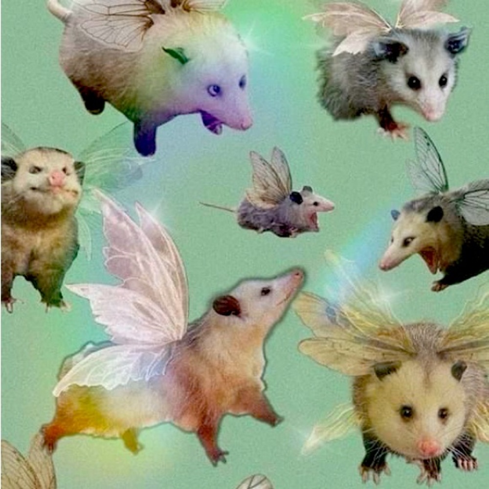 meet your posher ★彡